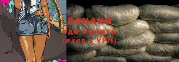 стафф Губаха